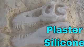 Cheap And Easy 3d Printed T Rex Skull Silicone Mould!
