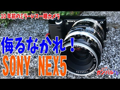 Don't underestimate it! A 10-year-old mirrorless camera [SONY NEX5