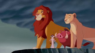 simba | seven years