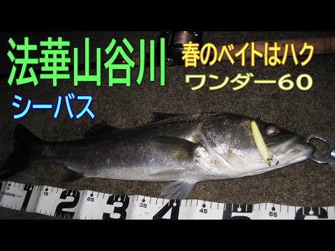 小規模河川 釣行日記 2021年4月30日