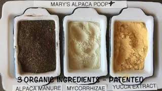 X-Culture Clients Marys Poop, Better Organic Alpaca Fertilizer