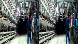 Les Derniers Mineurs De Fond En 3D Relief