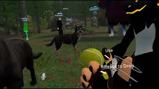 VRChat Dog Park , 3D Virtual Game. screenshot 2