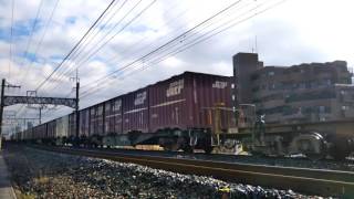 JR貨物 1071列車 EF210-118号機[新]+コキ車23両編成