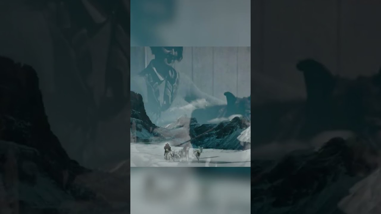 Seppala Actually Put Togo Down 