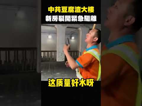 八炯：广西小粉红崩溃：中国建筑太烂了，全是豆腐渣工程，墙壁竟然是用插上去的 shorts
