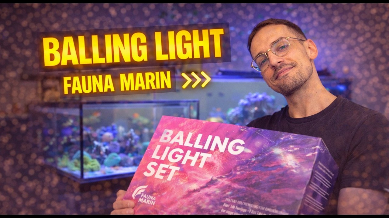 👉 Balling Light Starterset erklärt | Von Ready2Reef zu Fauna Marin Balling Light