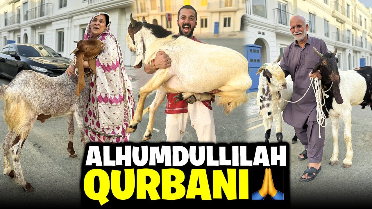 Qurbani k Janwar ghar aa gye🙏🏻Surprise for MAA G..🙈
