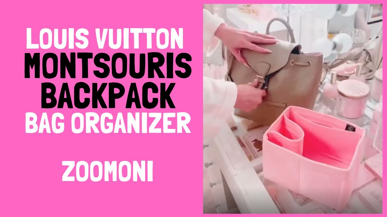 LOUIS VUITTON MONTSOURIS PM BACKPACK  Quick Review, What Fits & Bag  Organizer 