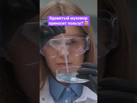 Опасный гриб, который помогает человечеству #мухоморы #здоровье #медицина #shorts