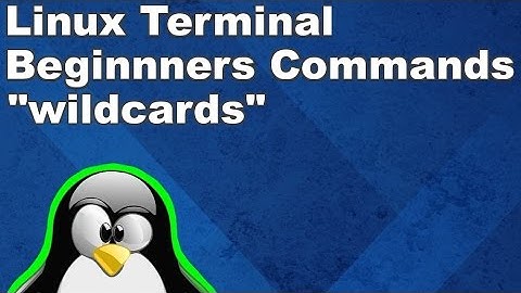 Linux Terminal for Beginners Commands 17: Wildcards