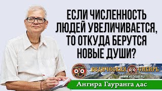 Если Численность Людей Увеличивается, То Откуда Берутся Новые Души?