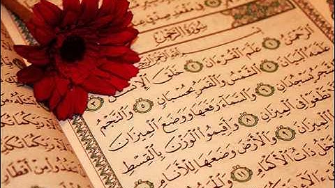 صفوان السويكت سورة الرحمن