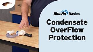 Watch the product video for Condensate Overflow Switch Explained - Bluefin Basics