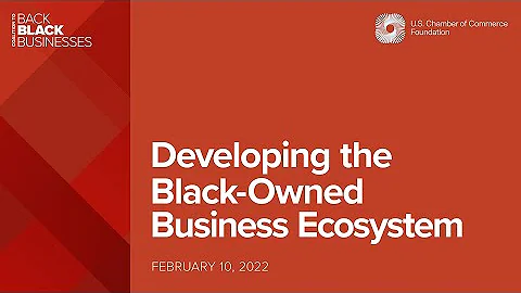 Developing the Black-Owned Business Ecosystem