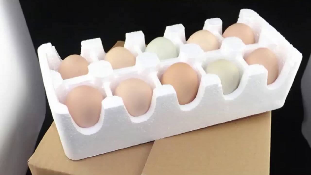 EPS bowl making machine/EPS cup machinery/EPS Coffee cup machine