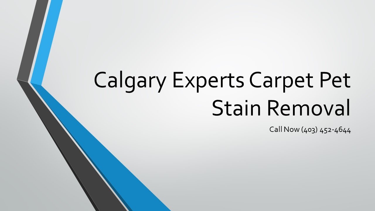 Quality Carpet Cleaning Services in Calgary (OxyGenie Calgary Alberta