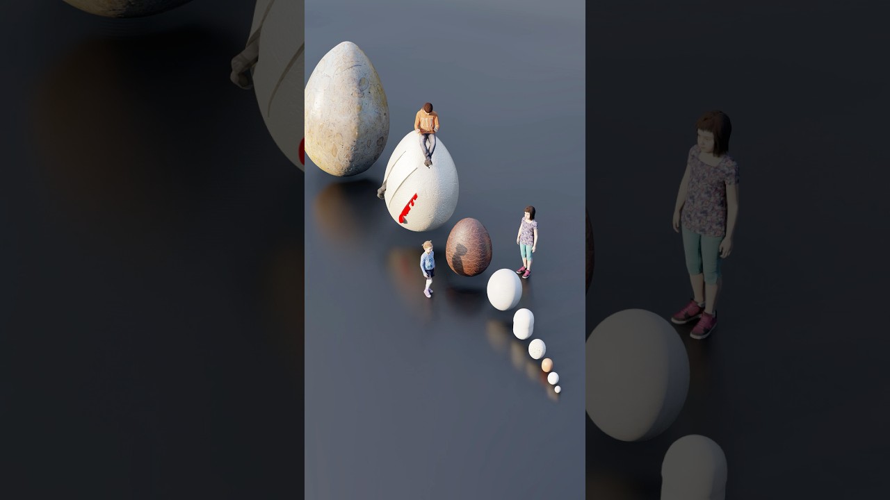 Monster egg size comparison 