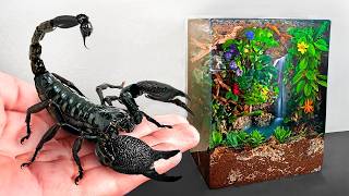Ho Costruito una Foresta Pluviale Per il mio Scorpione Domestico