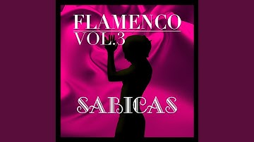 Thumbnail of Noches de Arabia