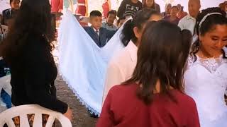 Trío Los Levitas _ En Vega Larga Taman SLP. 15 de Diciembre 2024.(boda)