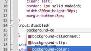 CSS3 Pseudo class: :disabled