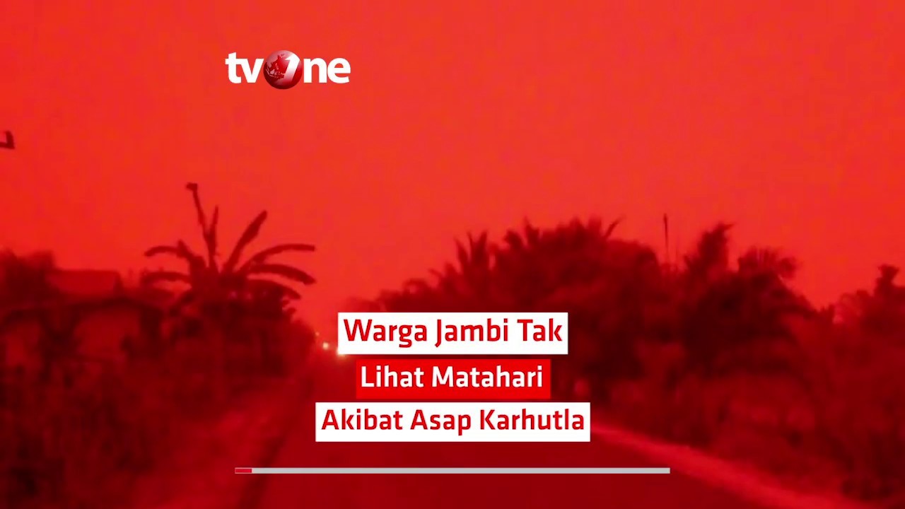 tv one live streaming free Warga Jambi Tak Lihat Matahari Akibat Asap Karhutla