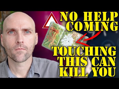 NO HELP IS COMING - LEARN THIS SKILL TODAY OR RISK DISASTER - IDENTIFY POISON HEMLOCK / WILD CARROT