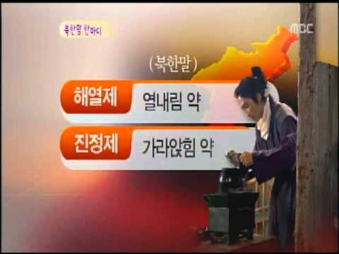 북한말한마디_의학용어 치통(이쏘기) 등 북한말 소개