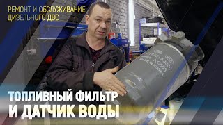 Топливный фильтр и датчик воды. Важное о дизельном ДВС