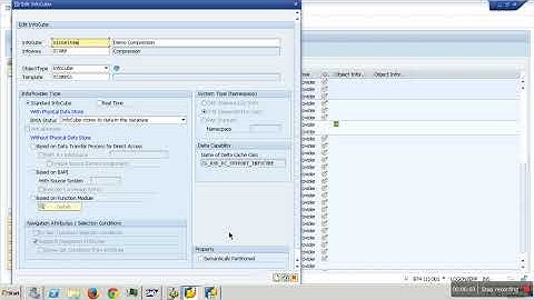 53.Line Item Dimension