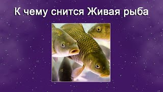 К чему снится Живая рыба – толкование сна по Соннику