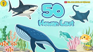 50 Sea Animals for Early Childhood - Learn to Recognize Sea Animal Names for Children's Education