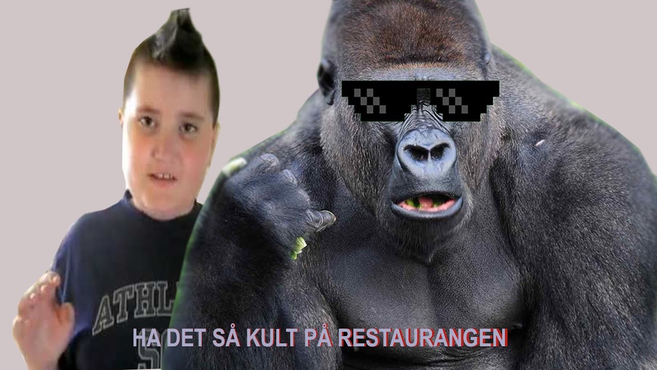 Ha Det Så Kult På Restaurangen