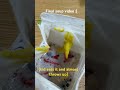The reaction at the end! 🤣