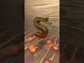 I am S_손별_3D title design #영상디자인과 #3d애니메이션 #3d애니 #c4d #unrealengine5 #cnema4d #3dillustration