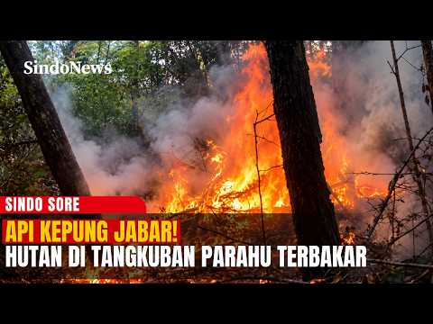 JABAR IKUT MEMBARA! Hutan Lindung Tangkuban Parahu Terbakar, 1 Hektare Hangus | Sindo Sore | 19/10