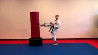Front Kick Migeri Maegeri - Warren Levi Karate