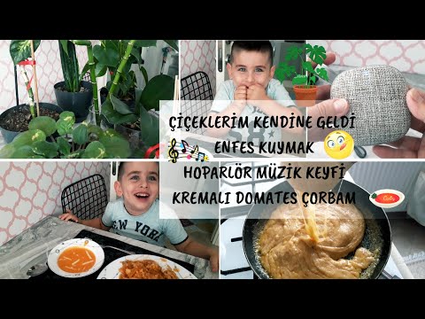 ÇİÇEKLERİN BAKIMI |KUYMAK Yapımı |Domates çorbası |BİRLİKTE MÜZİK KEYFİ Vlog#8 #nasilyapılır #hayat