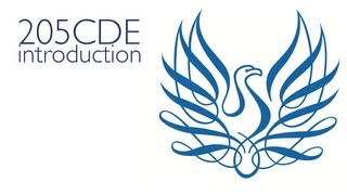 205CDE