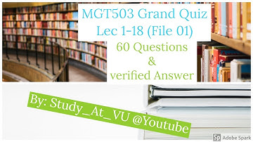 Mgt503 Grand Quiz Solved | Mgt503 | 100% Accurate || File 1| 05.07.2020