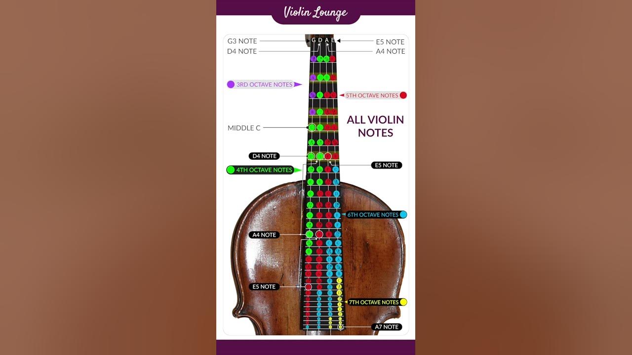 All violin notes and octaves #shorts