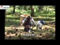 Pan And James Monkey And Dog Story In Japanese 