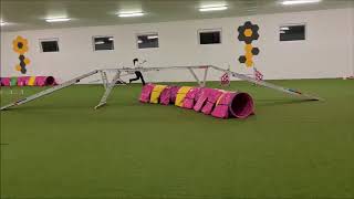 Highs 2 Recent Trainings