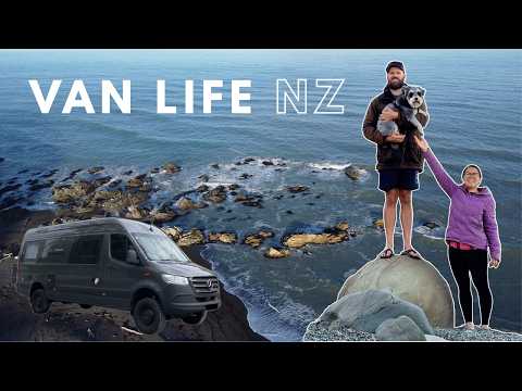 70 million year old Boulders, Slow Cozy Van Days | ASMR