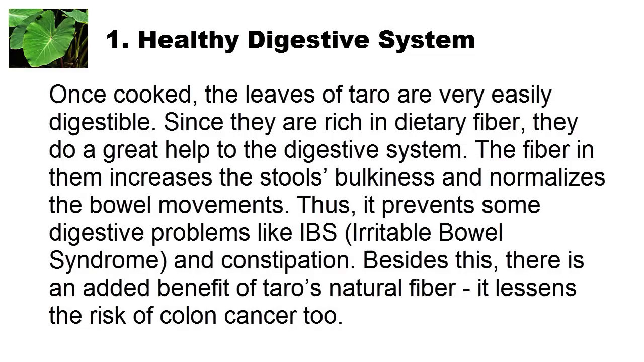 10 Health Benefits Of Taro Leaves YouTube