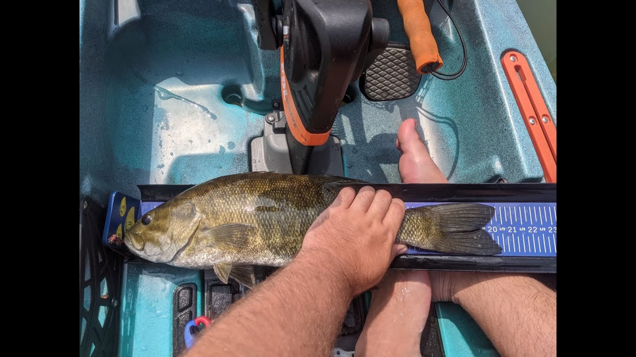 Trophy Sized Smallmouth Bass while Kayak Fishing the French Broad River - 06-25-2022