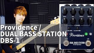 PROVIDENCE DUAL BASS STATION DBS-1のレビュー