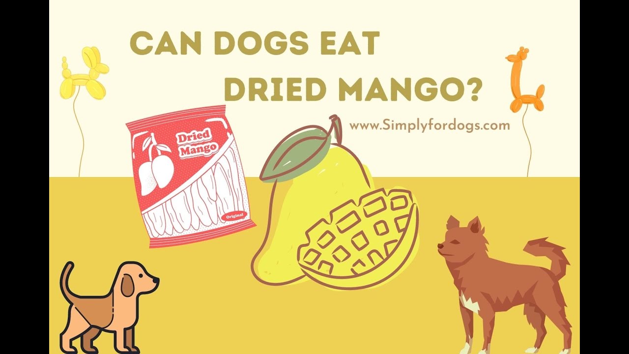 Can Dogs Eat Dried Mango? YouTube