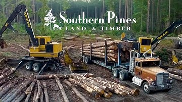 Southern Pines Land & Timber | Hodge Logging Company